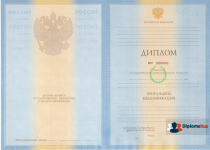 Специалист 2009-2011